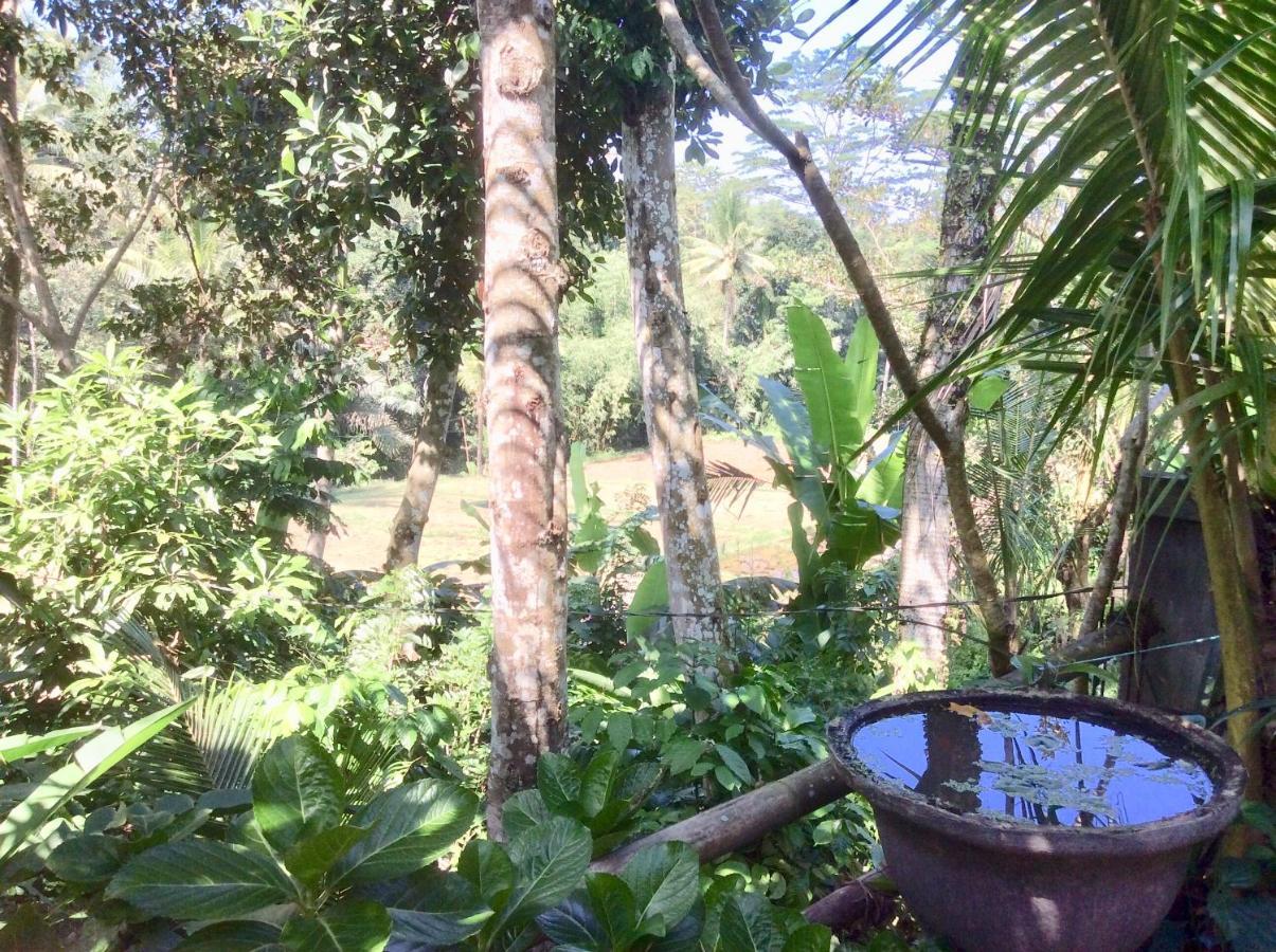 Rumah Irak Et Kadek Bali Ubud Exteriör bild