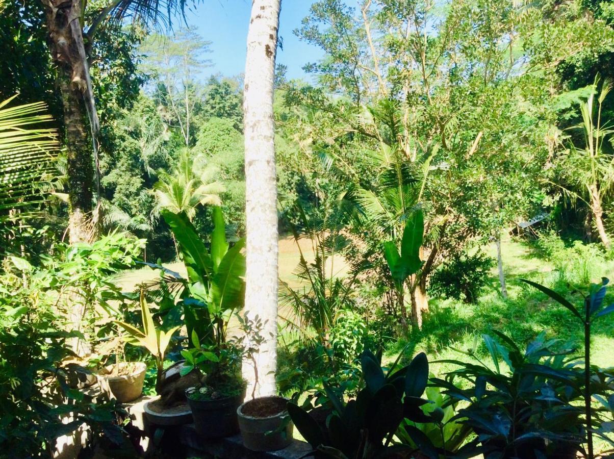 Rumah Irak Et Kadek Bali Ubud Exteriör bild