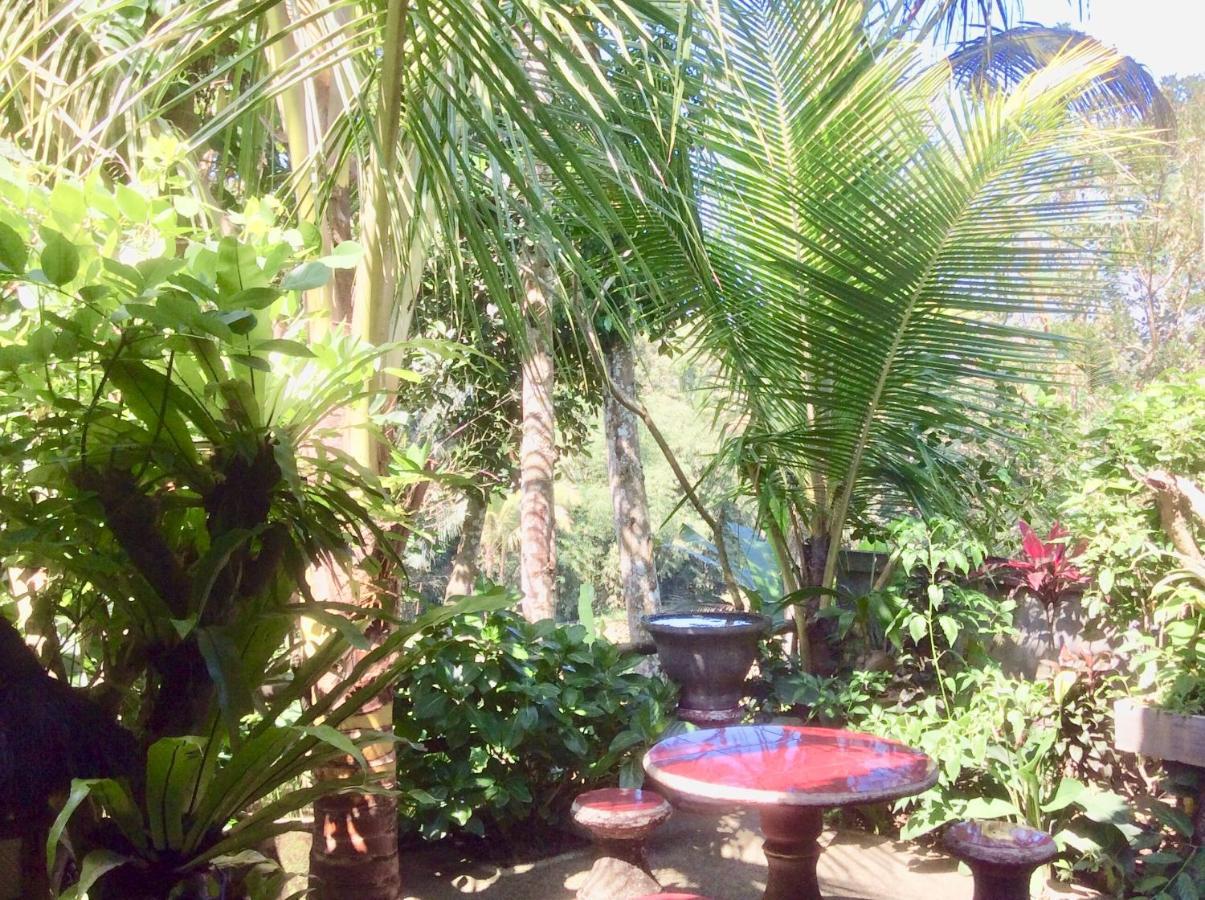 Rumah Irak Et Kadek Bali Ubud Exteriör bild